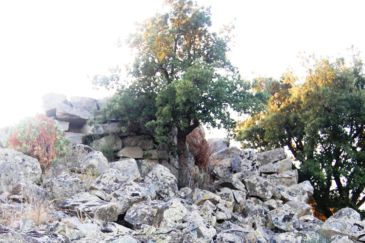 Il nuraghe di Burcei