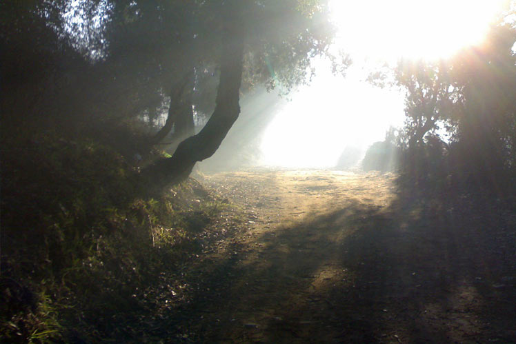 Burcei valle a nord-est del paese - "Piras arbas"